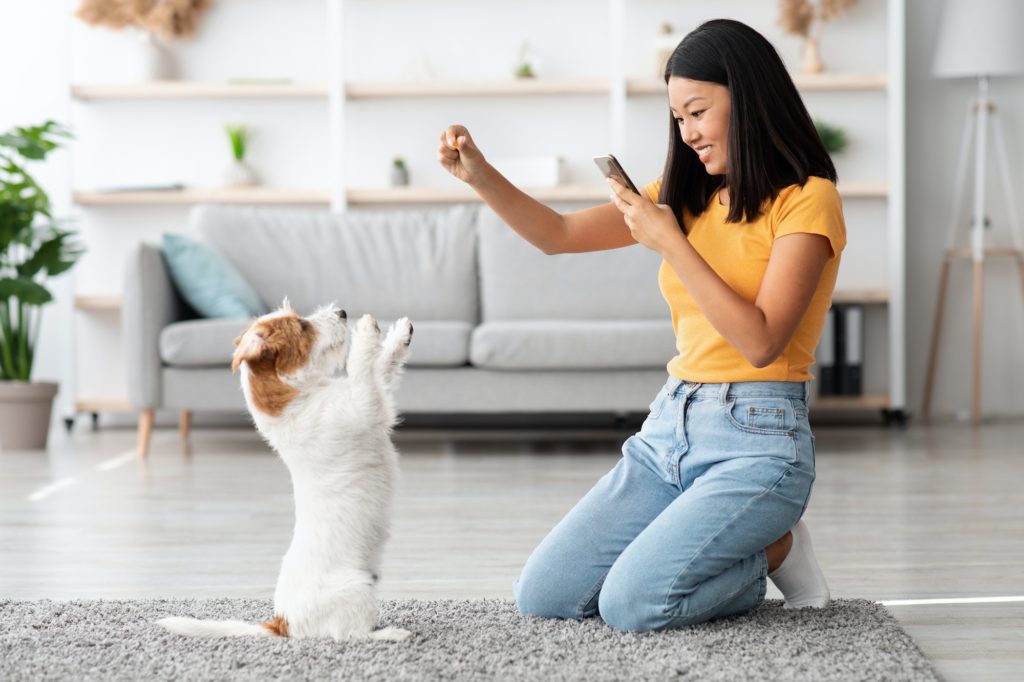 Joyful korean woman training her puppy, giving treats